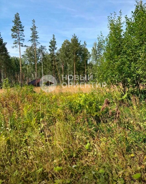 Объявление 221-10830