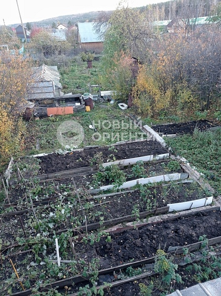 Объявление 221-10064