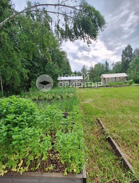 Объявление 221-12263