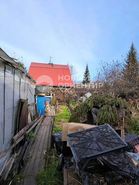 Объявление 221-12297