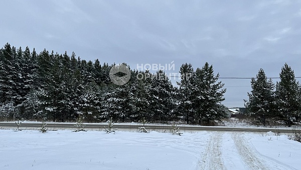 Объявление 221-12074