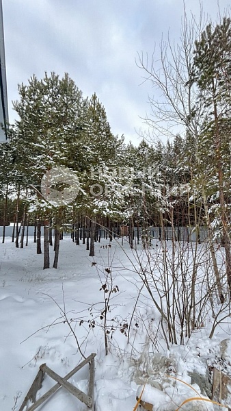 Объявление 221-12074