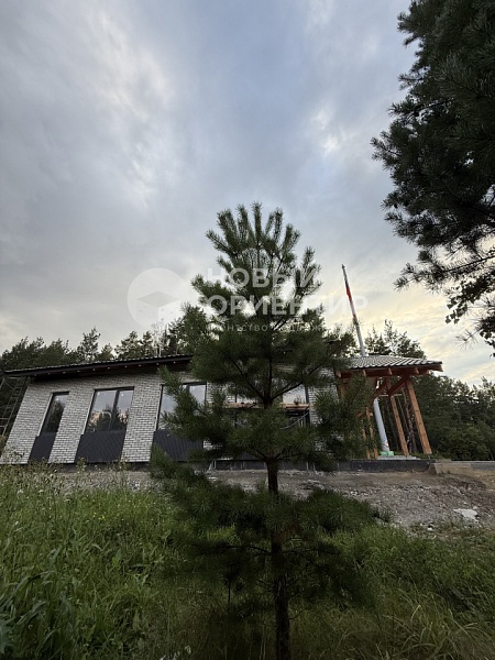 Объявление 221-11621