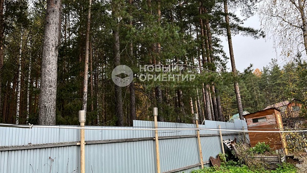 Объявление 221-11810