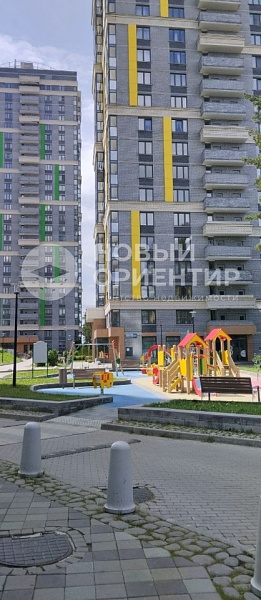 Объявление 221-11483