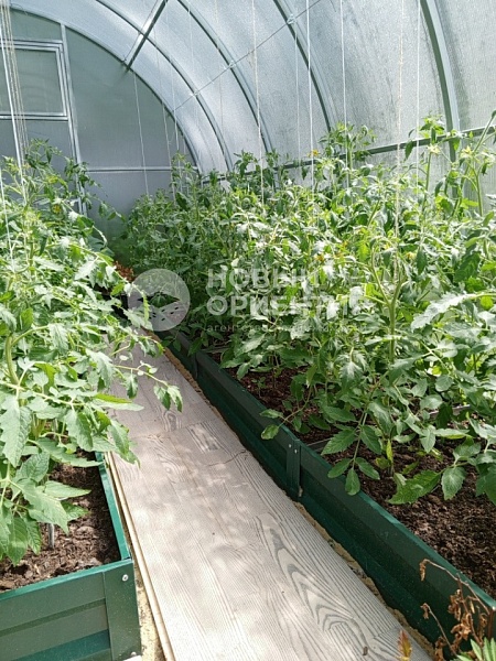 Объявление 221-11299