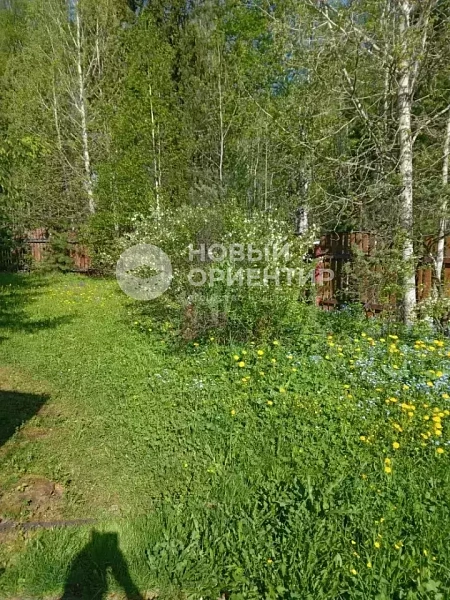 Объявление 221-12342