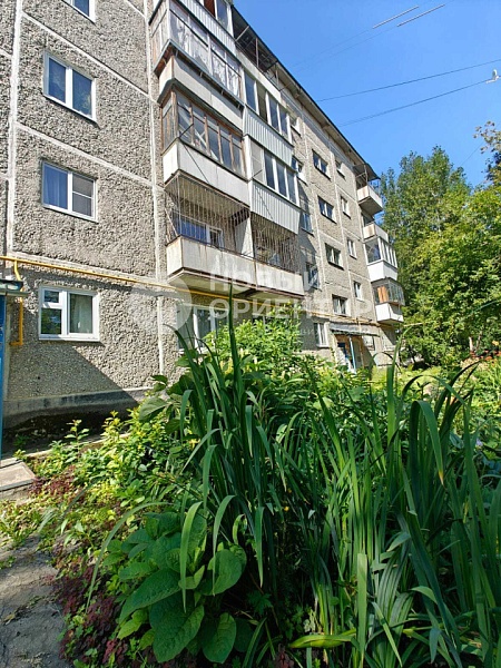 Объявление 221-11525