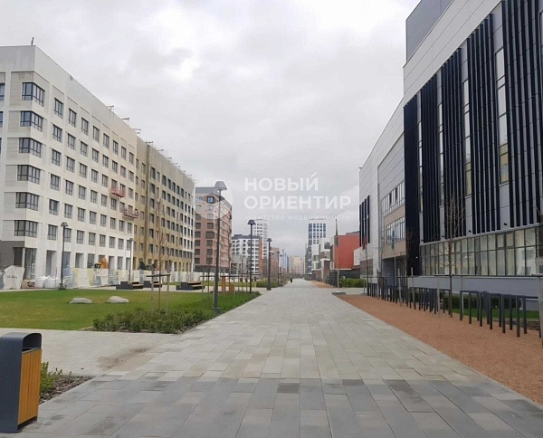 Объявление 221-11282