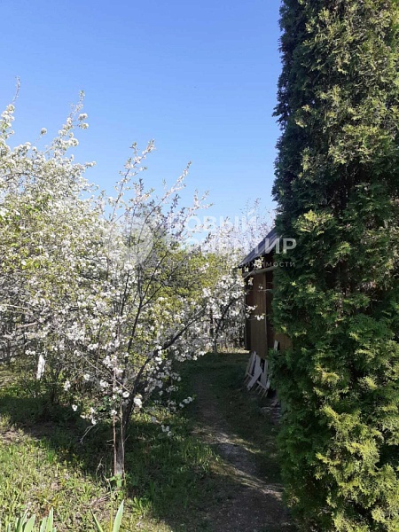 Объявление 221-11853