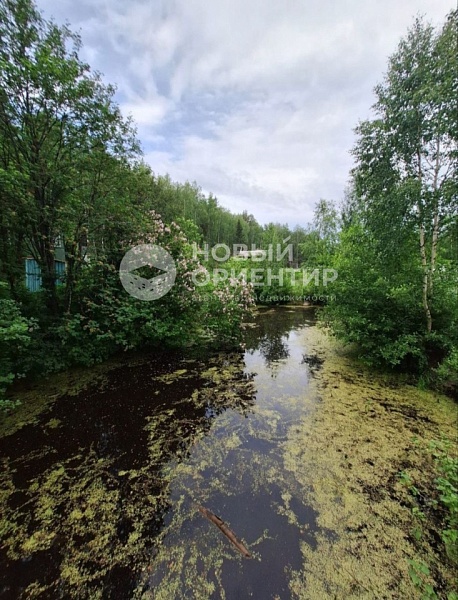 Объявление 221-12263