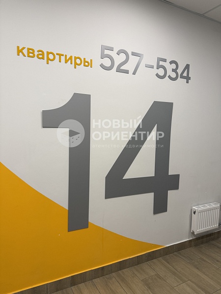 Объявление 221-12327