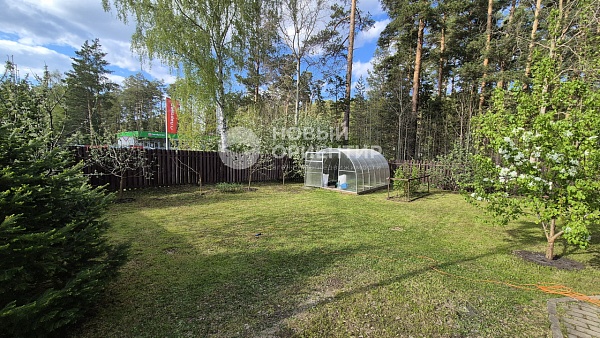 Объявление 221-11299