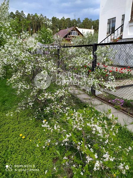 Объявление 221-10666