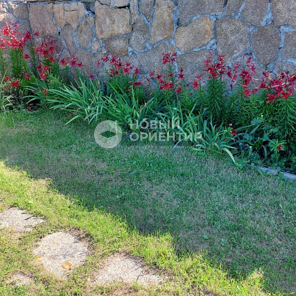 Объявление 221-10325