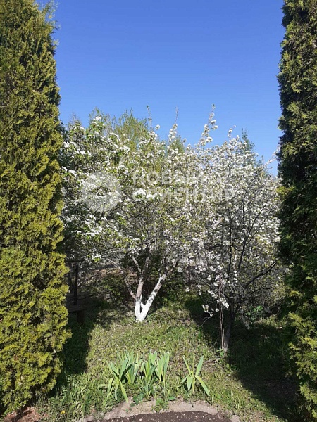 Объявление 221-11853