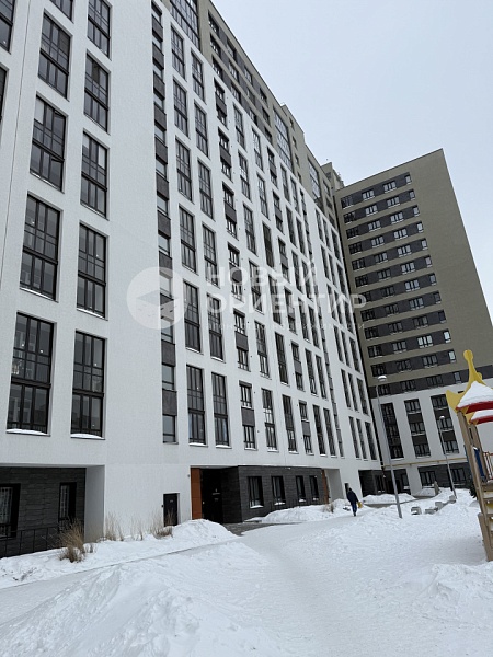 Объявление 221-12253