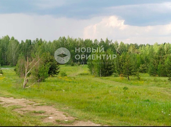 Объявление 221-10746