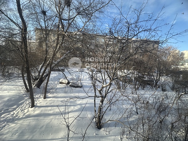 Объявление 221-12303