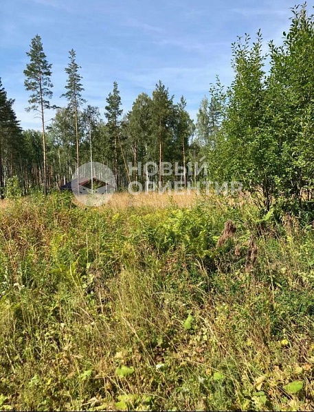 Объявление 221-10746