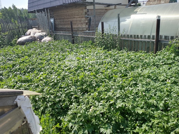 Объявление 221-11172