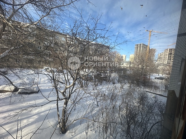 Объявление 221-12303