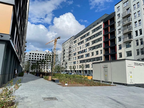 Объявление 221-10347