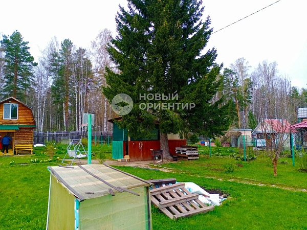 Объявление 221-10919