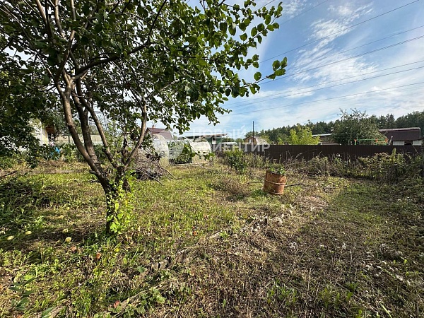 Объявление 221-11639