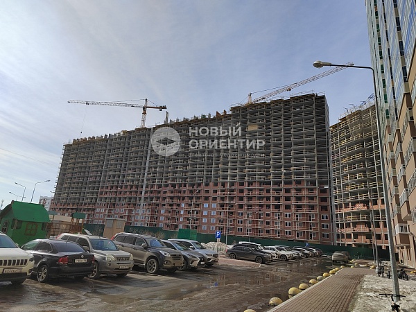 Объявление 221-9121