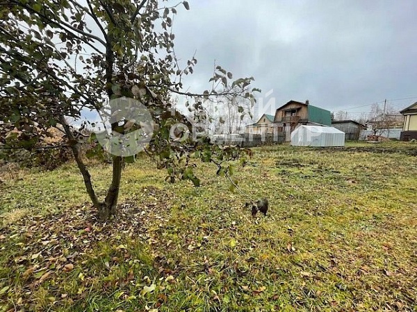 Объявление 221-11728