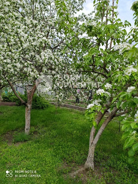 Объявление 221-10666