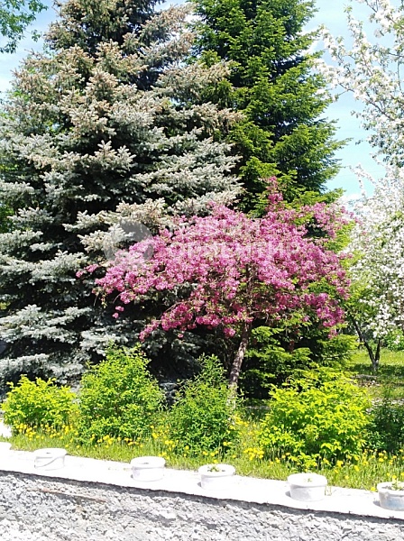 Объявление 221-11142