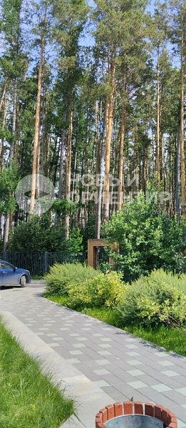 Объявление 221-11483