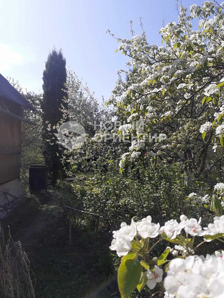 Объявление 221-11853