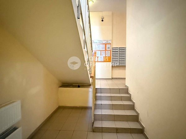 Объявление 221-12164