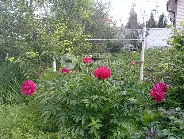 Объявление 221-12328