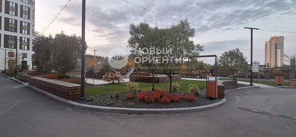 Объявление 221-11729