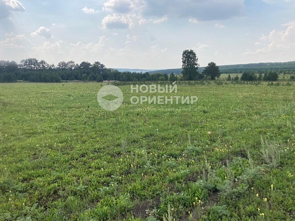 Объявление 221-10829