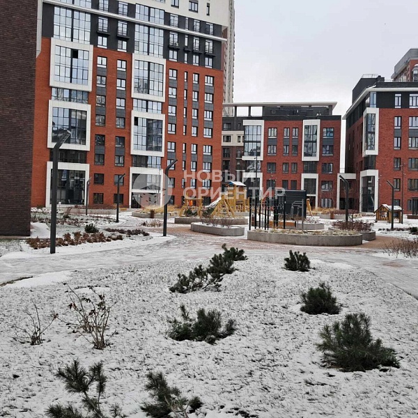 Объявление 221-11983