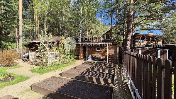 Объявление 221-11299