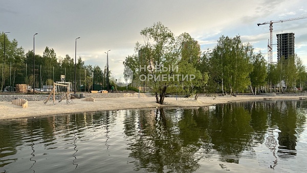 Объявление 221-12207