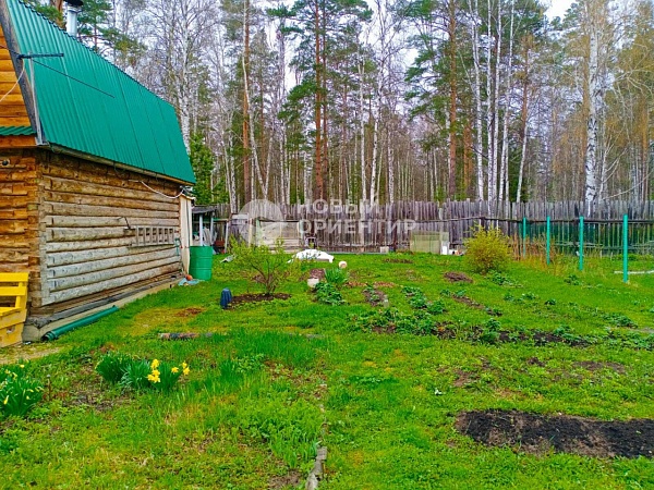 Объявление 221-10919