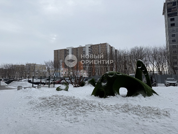 Объявление 221-12253