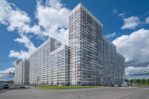 Объявление 221-11572