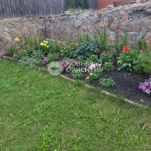 Объявление 221-10325