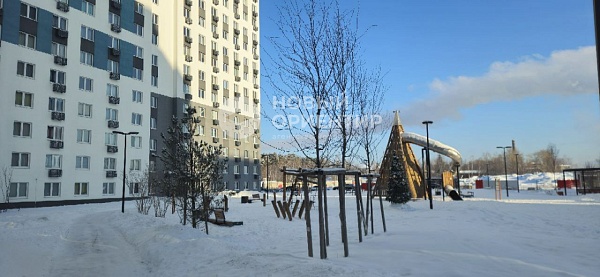 Объявление 221-12203