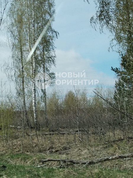 Объявление 221-11176