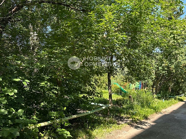 Объявление 221-11506