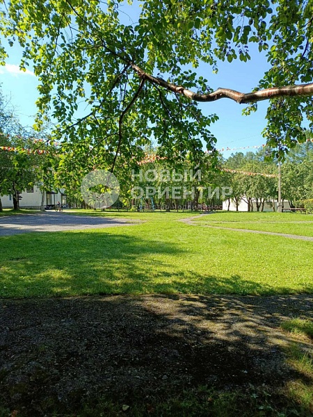 Объявление 221-11914